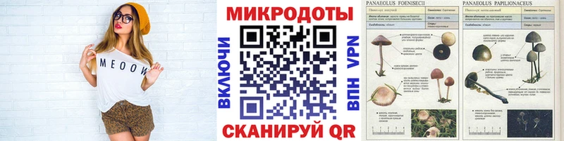 Псилоцибиновые грибы Psilocybe  Октябрьск 